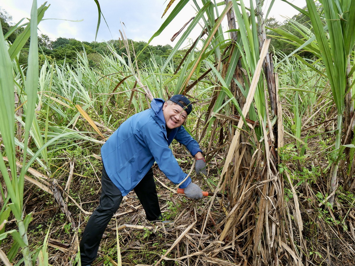 【新竹旅遊】新竹金牌農村-風城新糖2025:寶山鄉的黑糖文化記憶,甜在土地裡的永續食農之旅,遊客親自DIY黑糖珍珠粉圓,適合全家親子同遊   【新竹旅遊】新竹金牌農村-風城新糖2025:寶山鄉的黑糖文化記憶,甜在土地裡的永續食農之旅,遊客親自DIY黑糖珍珠粉圓,適合全家親子同遊