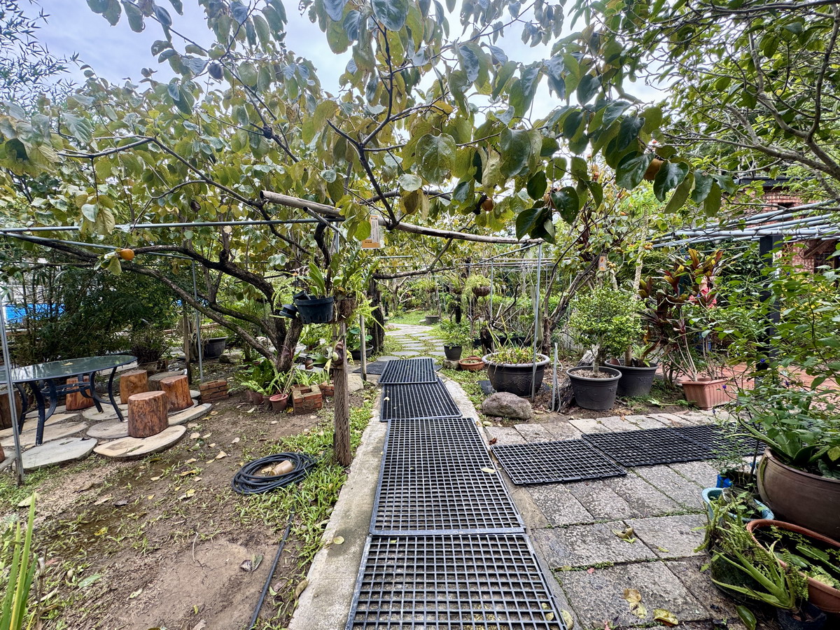 【新竹旅遊】金漢柿餅教育農園 2025：新竹旱坑社區金牌農村，金黃柿子的家鄉，永續行程、綠色旅遊的深度農村小旅行