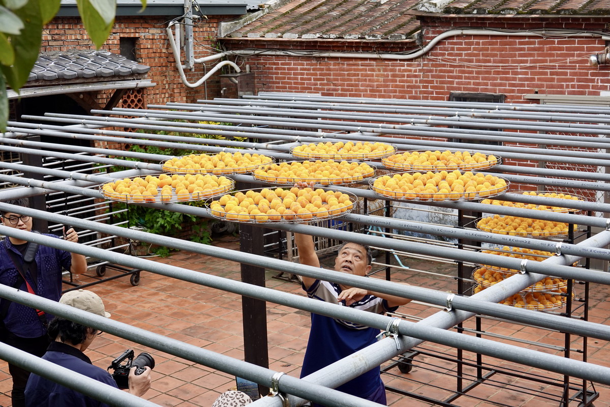 【新竹旅遊】金漢柿餅教育農園 2025：新竹旱坑社區金牌農村，金黃柿子的家鄉，永續行程、綠色旅遊的深度農村小旅行