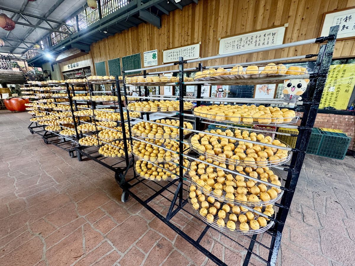 【新竹旅遊】金漢柿餅教育農園 2025：新竹旱坑社區金牌農村，金黃柿子的家鄉，永續行程、綠色旅遊的深度農村小旅行