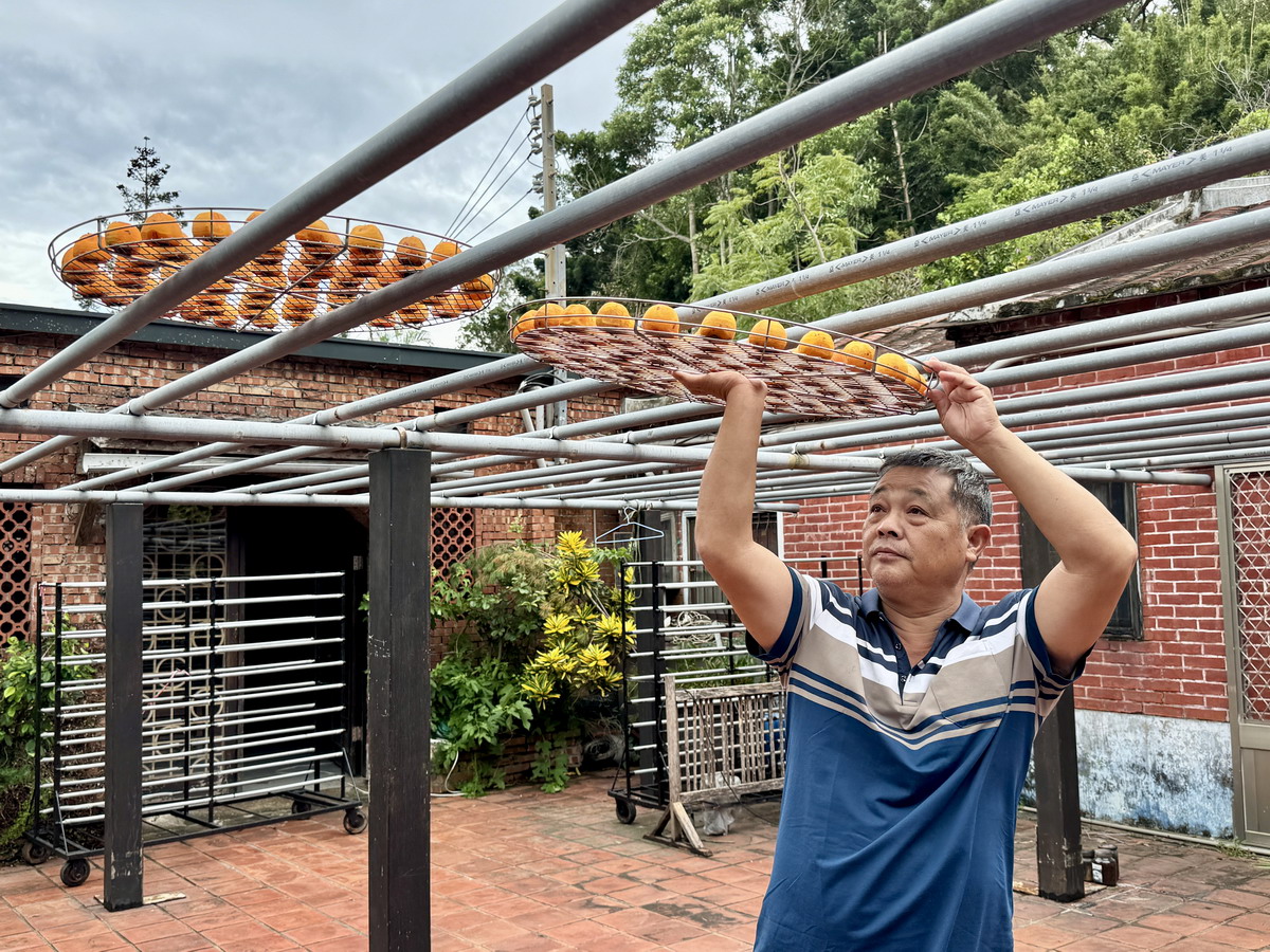【新竹旅遊】金漢柿餅教育農園 2025：新竹旱坑社區金牌農村，金黃柿子的家鄉，永續行程、綠色旅遊的深度農村小旅行
