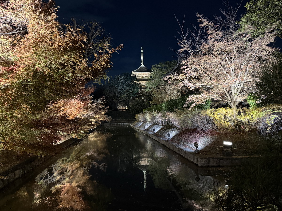 【日本京都旅遊】東寺夜楓 2025：楓葉季的壓軸好戲，夜間浪漫賞楓，京都最高五重塔水中倒影如夢似幻，世界遺產以及日本最高五重塔 7165