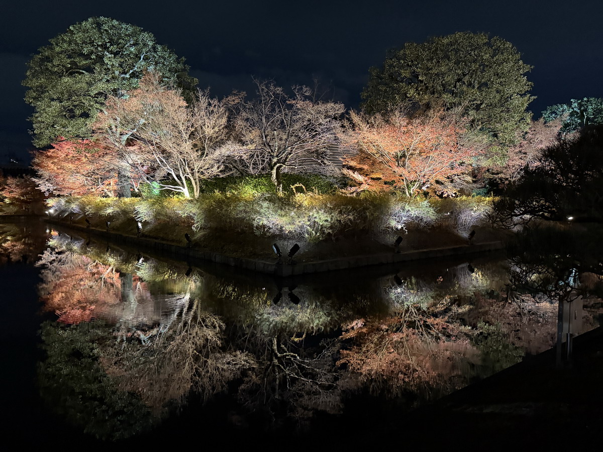 【日本京都旅遊】東寺夜楓 2025：楓葉季的壓軸好戲，夜間浪漫賞楓，京都最高五重塔水中倒影如夢似幻，世界遺產以及日本最高五重塔 7165