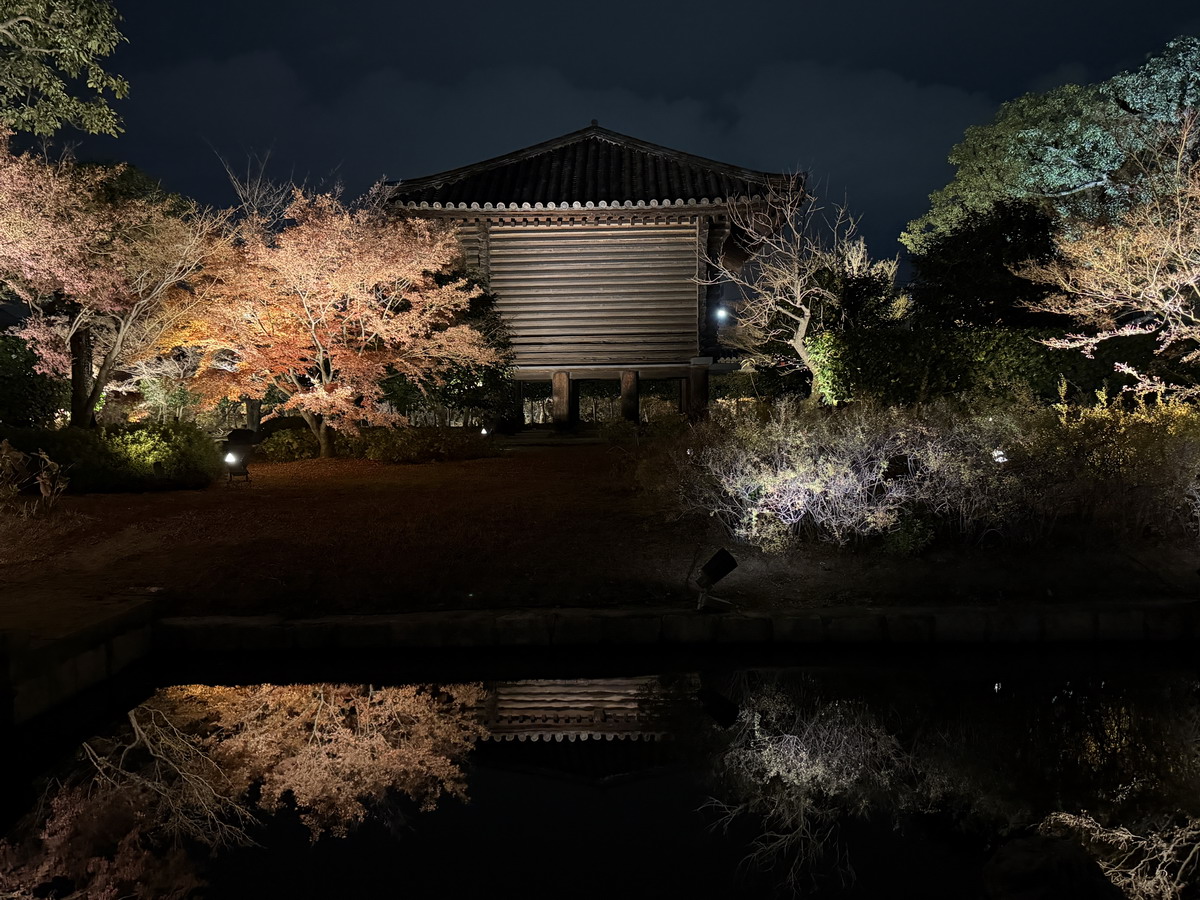 【日本京都旅遊】東寺夜楓 2025：楓葉季的壓軸好戲，夜間浪漫賞楓，京都最高五重塔水中倒影如夢似幻，世界遺產以及日本最高五重塔 7165