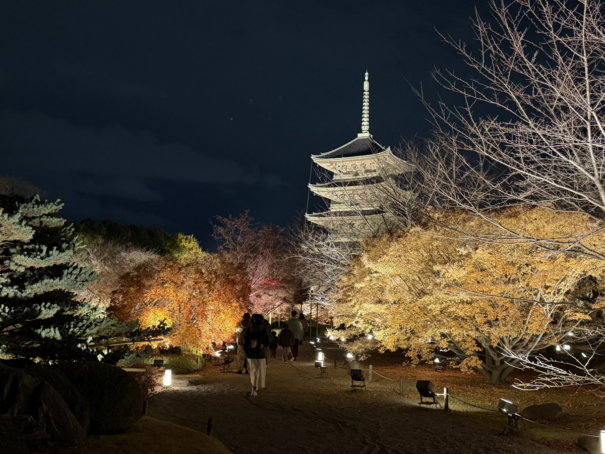 【日本京都旅遊】東寺夜楓 2025：楓葉季的壓軸好戲，夜間浪漫賞楓，京都最高五重塔水中倒影如夢似幻，世界遺產以及日本最高五重塔 7165