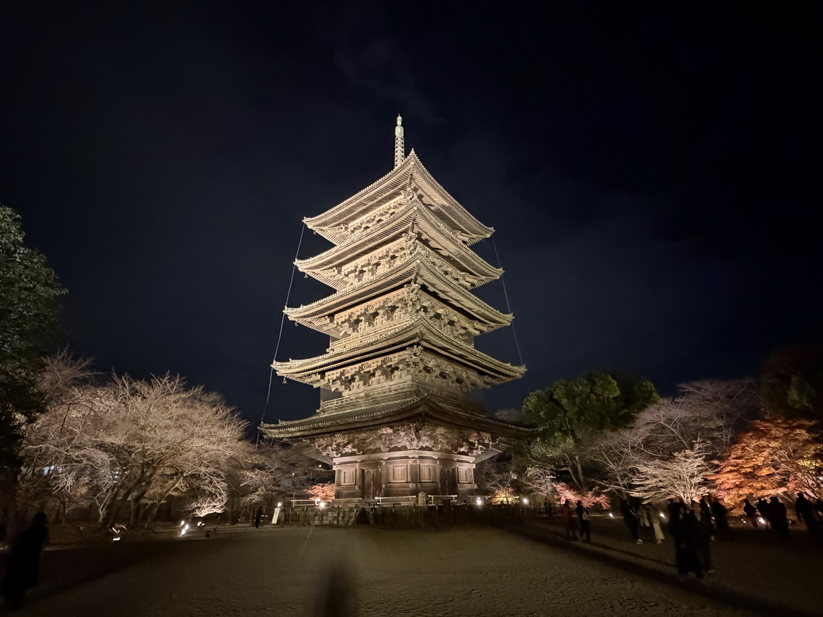 【日本京都旅遊】東寺夜楓 2025：楓葉季的壓軸好戲，夜間浪漫賞楓，京都最高五重塔水中倒影如夢似幻，世界遺產以及日本最高五重塔 7165