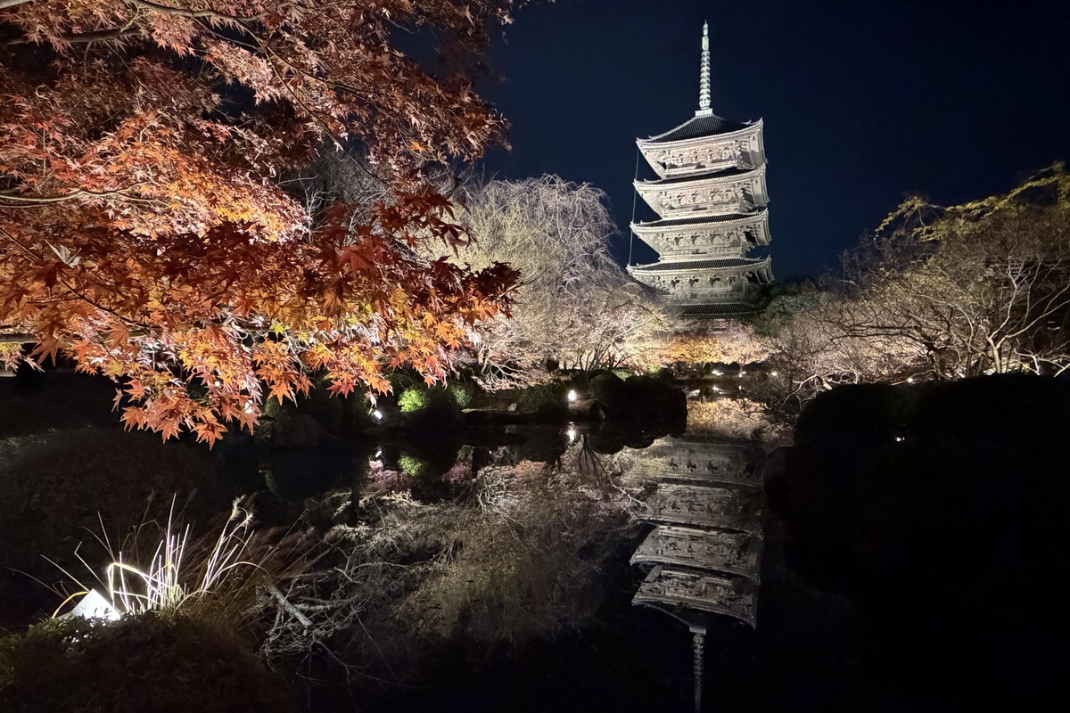 網站近期文章：【日本京都旅遊】東寺夜楓 2025：楓葉季的壓軸好戲，夜間浪漫賞楓，京都最高五重塔水中倒影如夢似幻，世界遺產以及日本最高五重塔 7165