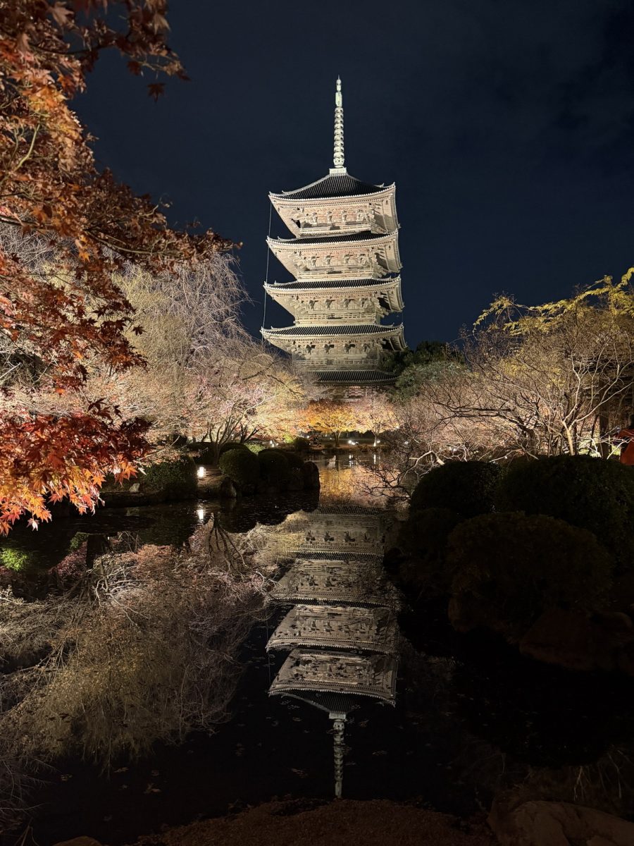 【日本京都旅遊】東寺夜楓 2025：楓葉季的壓軸好戲，夜間浪漫賞楓，京都最高五重塔水中倒影如夢似幻，世界遺產以及日本最高五重塔 7165