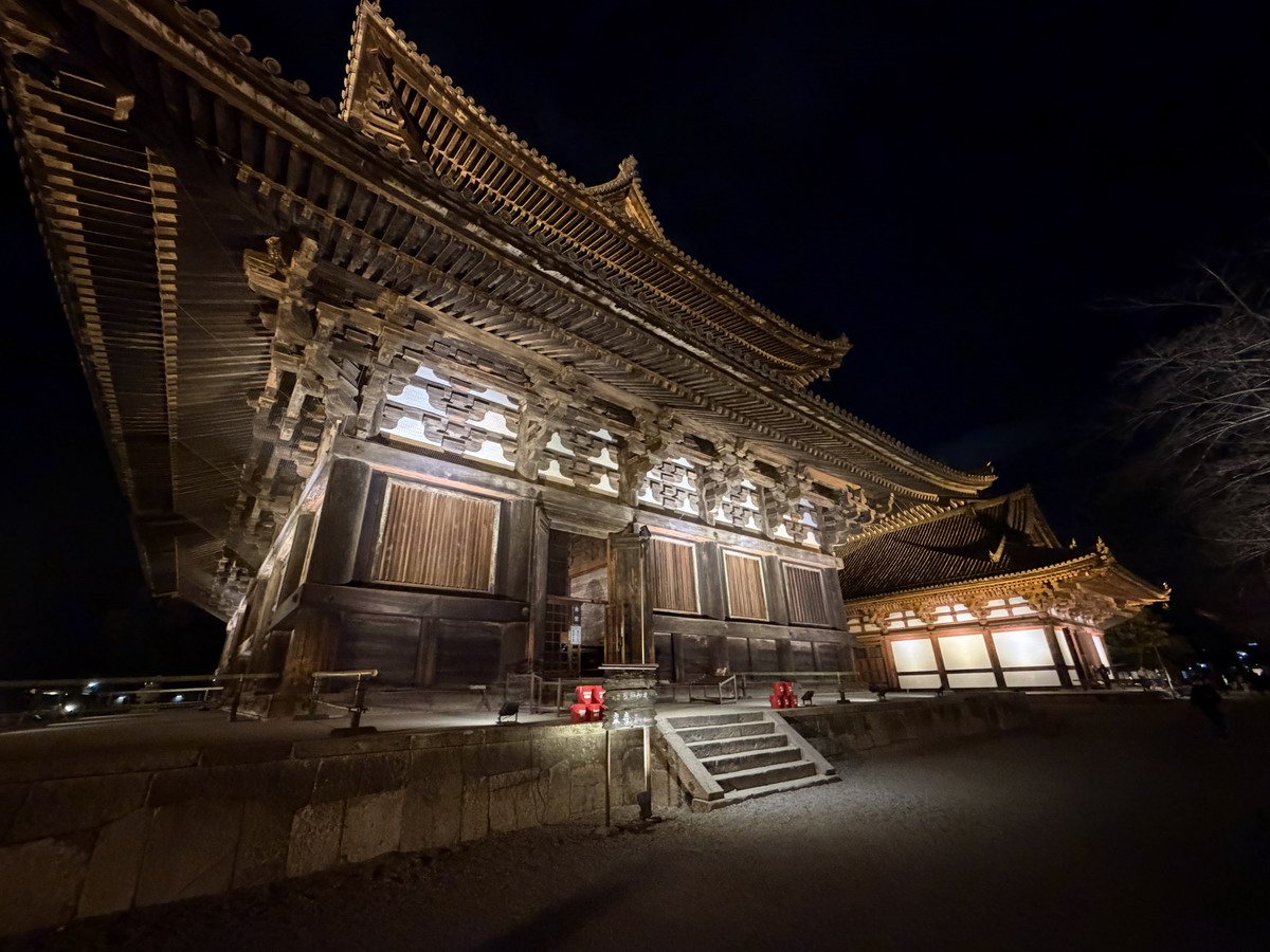 【日本京都旅遊】東寺夜楓 2025：楓葉季的壓軸好戲，夜間浪漫賞楓，京都最高五重塔水中倒影如夢似幻，世界遺產以及日本最高五重塔 7165