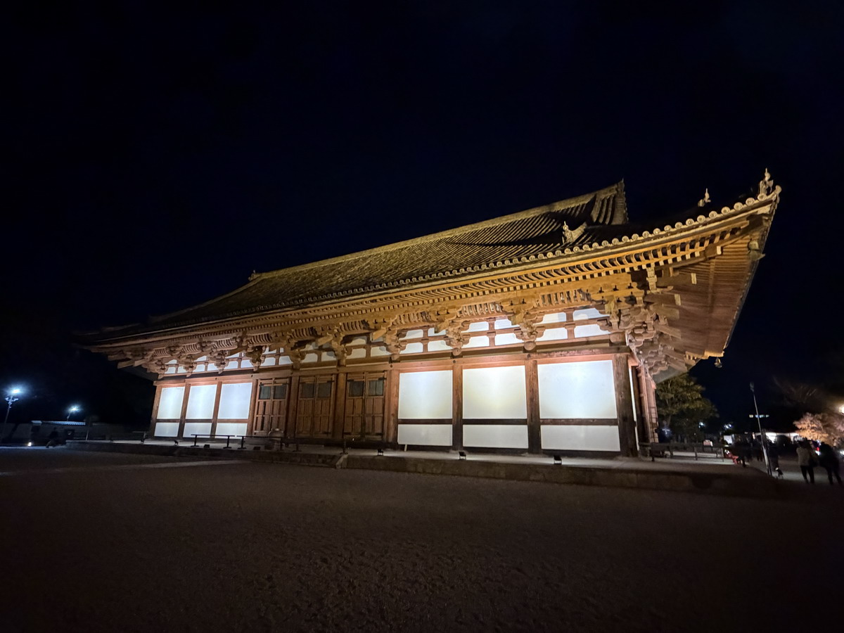 【日本京都旅遊】東寺夜楓 2025：楓葉季的壓軸好戲，夜間浪漫賞楓，京都最高五重塔水中倒影如夢似幻，世界遺產以及日本最高五重塔 7165