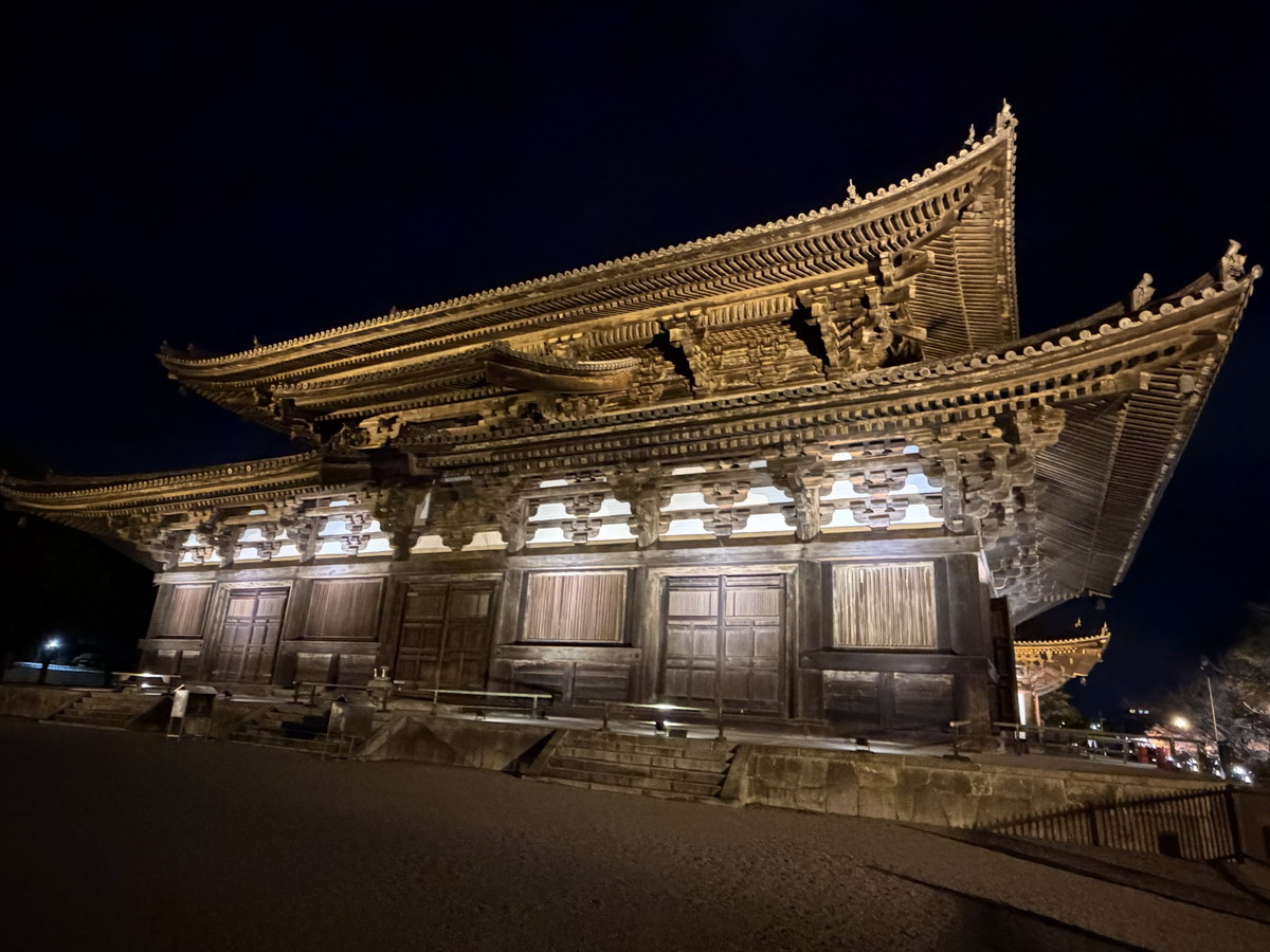 【日本京都旅遊】東寺夜楓 2025：楓葉季的壓軸好戲，夜間浪漫賞楓，京都最高五重塔水中倒影如夢似幻，世界遺產以及日本最高五重塔 7165