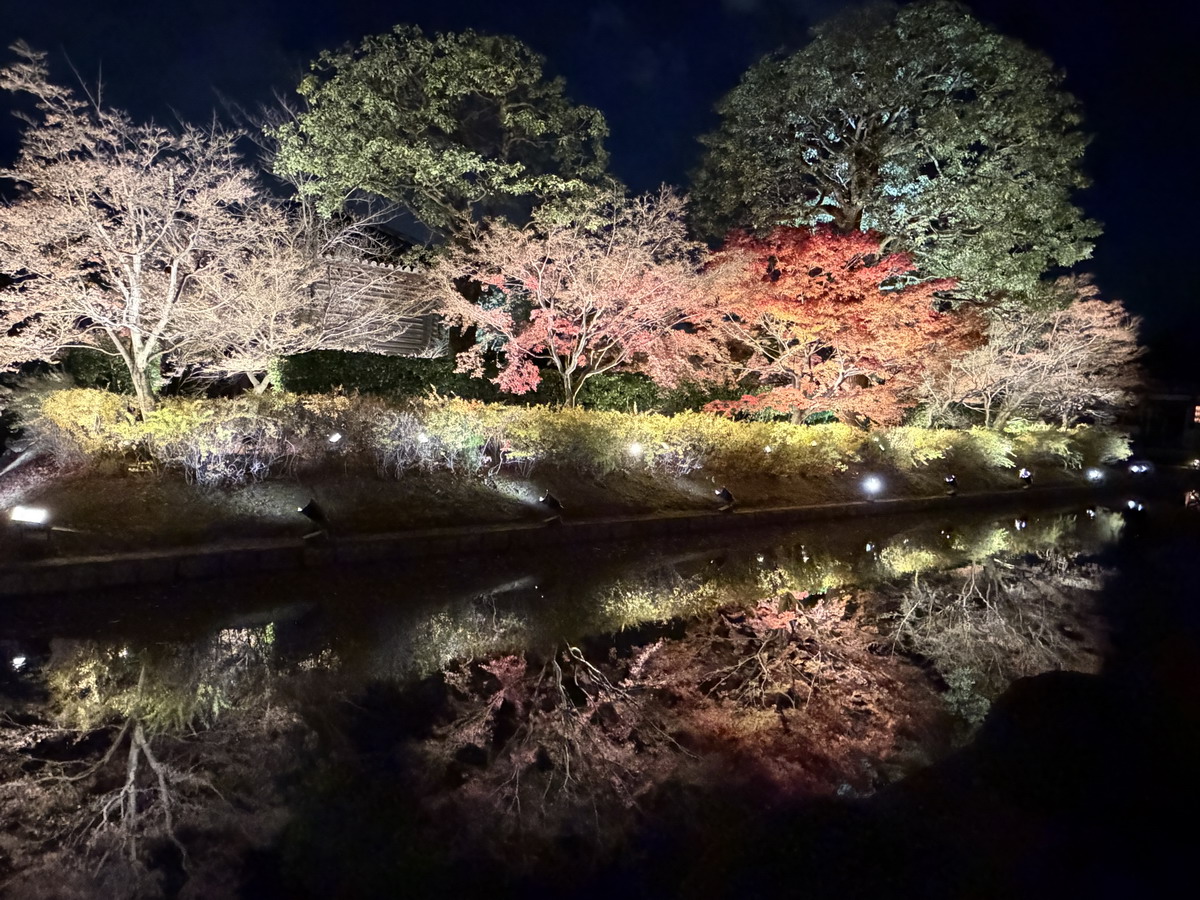 【日本京都旅遊】東寺夜楓 2025：楓葉季的壓軸好戲，夜間浪漫賞楓，京都最高五重塔水中倒影如夢似幻，世界遺產以及日本最高五重塔 7165