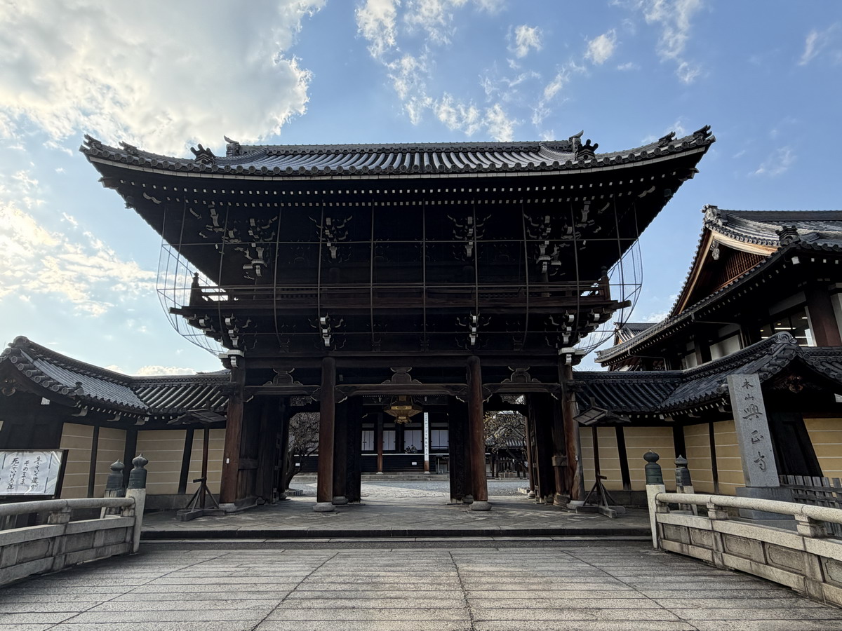 【日本京都旅遊】西本願寺：漂亮的大銀杏樹以及京都三大唐門之一、京都三大閣樓之一，世界遺產、日本國寶 7167