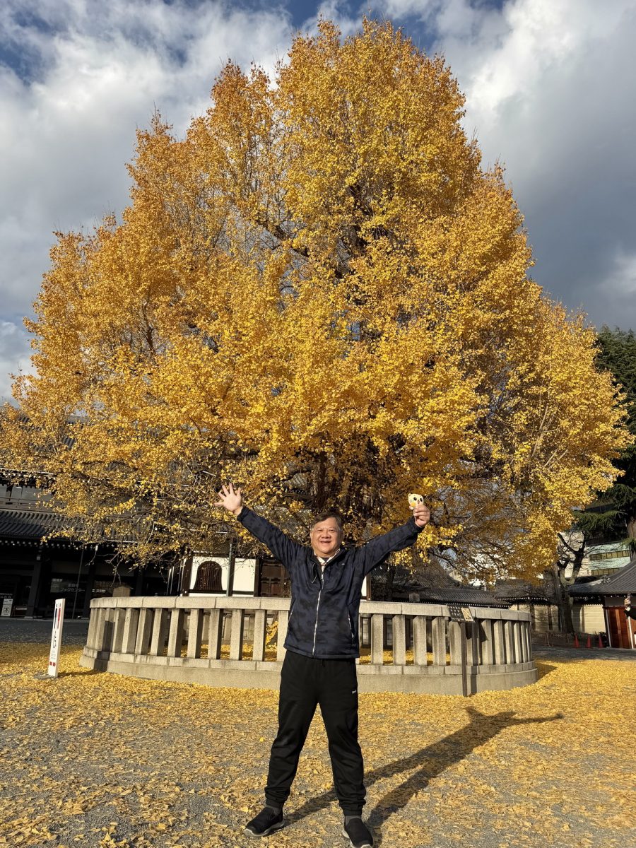 【日本京都旅遊】西本願寺：漂亮的大銀杏樹以及京都三大唐門之一、京都三大閣樓之一，世界遺產、日本國寶 7167