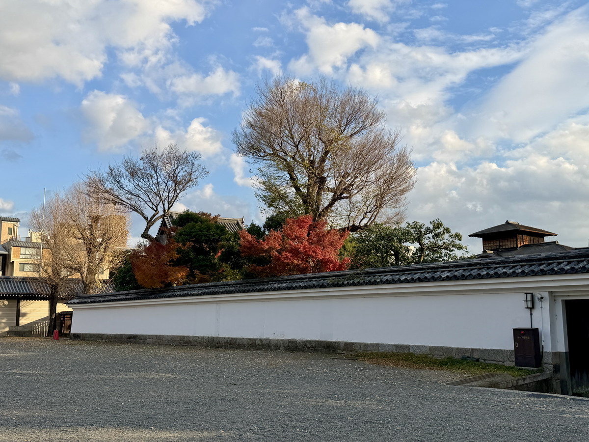 【日本京都旅遊】西本願寺：漂亮的大銀杏樹以及京都三大唐門之一、京都三大閣樓之一，世界遺產、日本國寶 7167