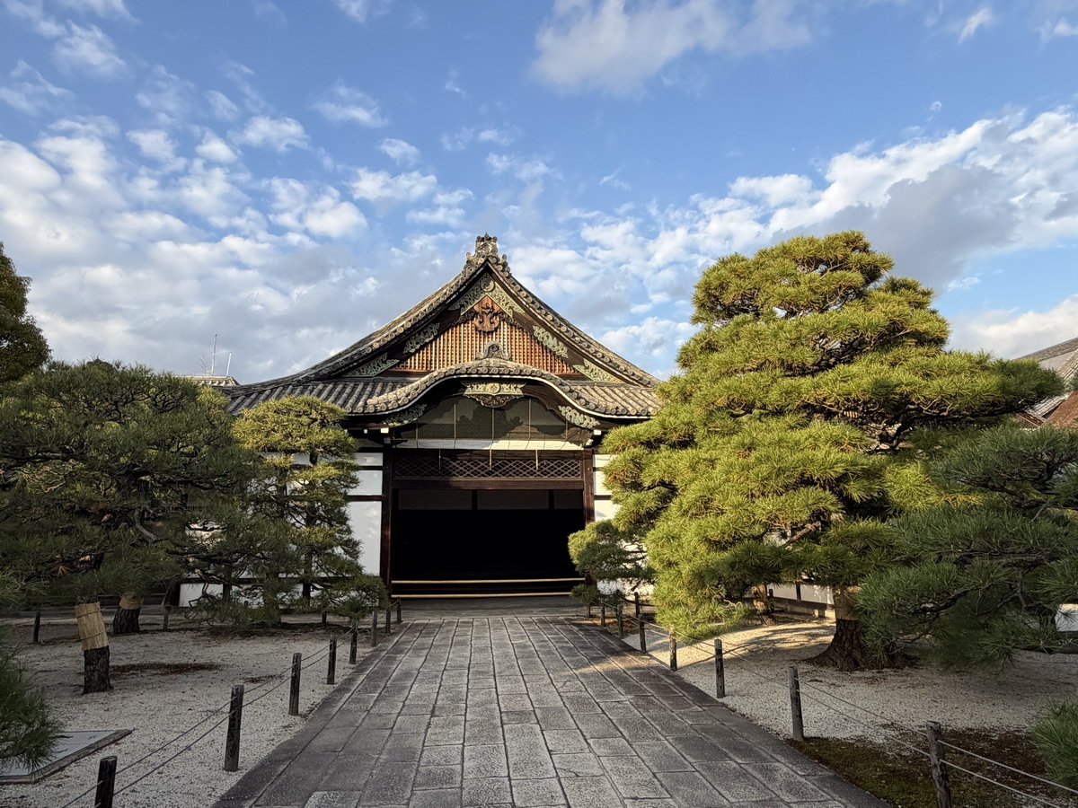 【日本京都旅遊】西本願寺：漂亮的大銀杏樹以及京都三大唐門之一、京都三大閣樓之一，世界遺產、日本國寶 7167