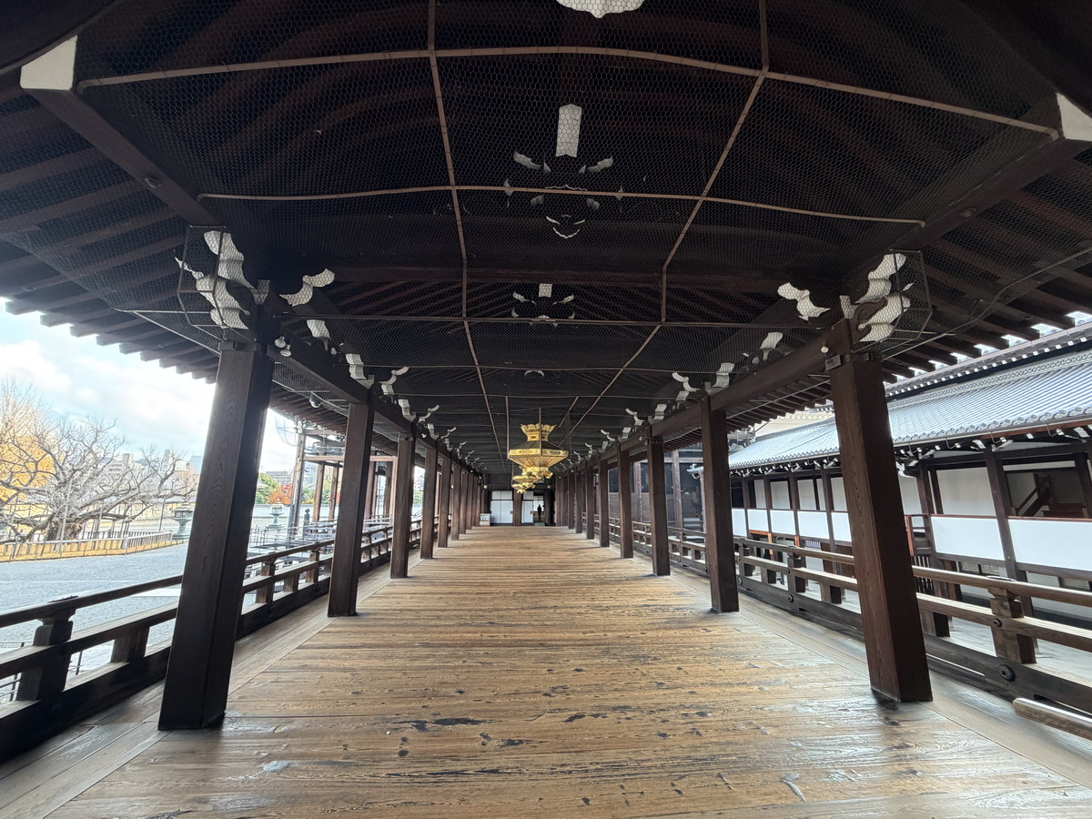 【日本京都旅遊】西本願寺：漂亮的大銀杏樹以及京都三大唐門之一、京都三大閣樓之一，世界遺產、日本國寶 7167