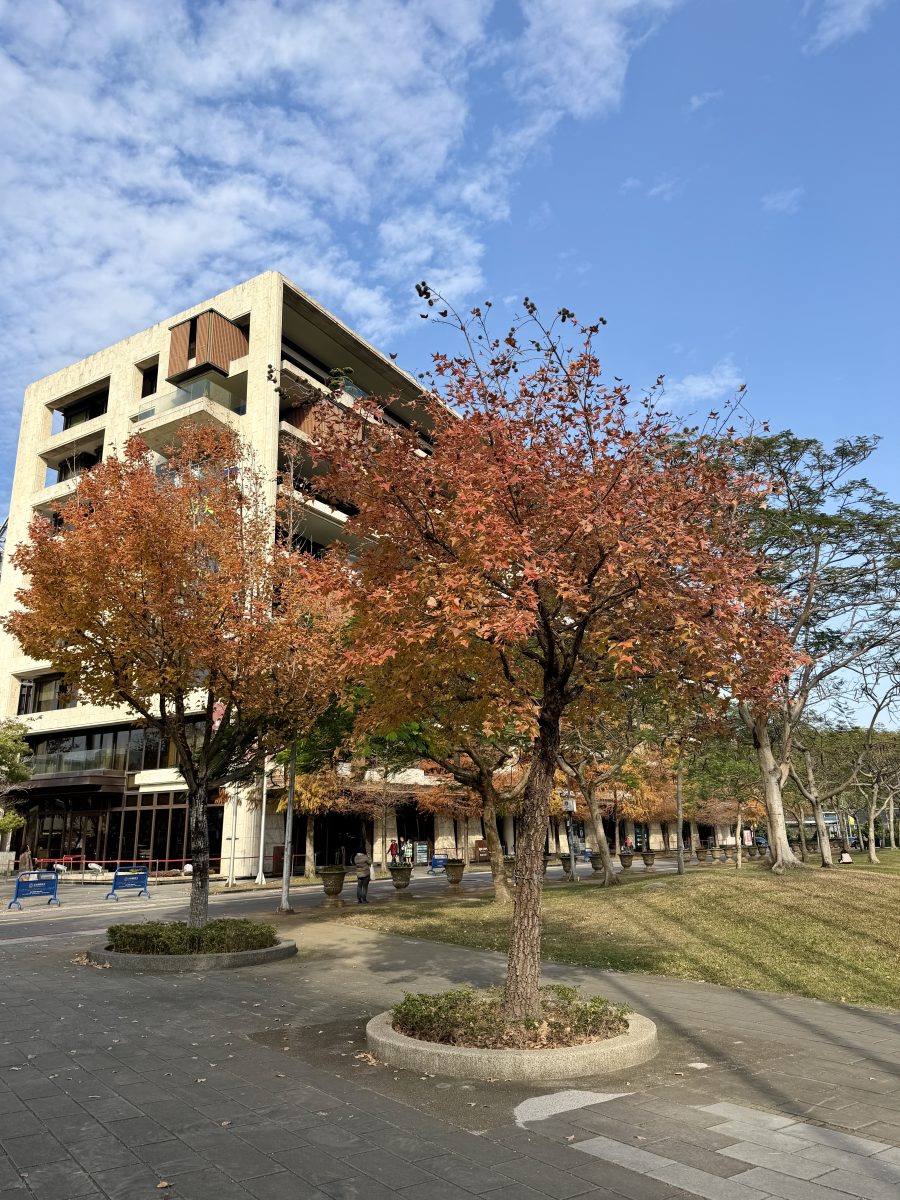 【台北市旅遊】士林官邸公園落羽杉 2026：台北市內搭捷運或公車就可以到達的落羽杉景點，季節限定，不用跑郊外 7216