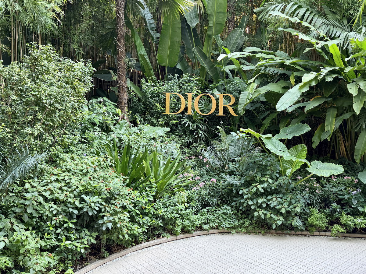 【泰國曼谷美食】迪奧黃金屋咖啡廳 Dior Gold House/Dior Café 2026：怎麼可以美成這樣！曼谷頂級時尚奢華展售間與咖啡廳，都會鬧區中的森林仙境，頂尖藝術與美食的結合，美照拍不完 7263