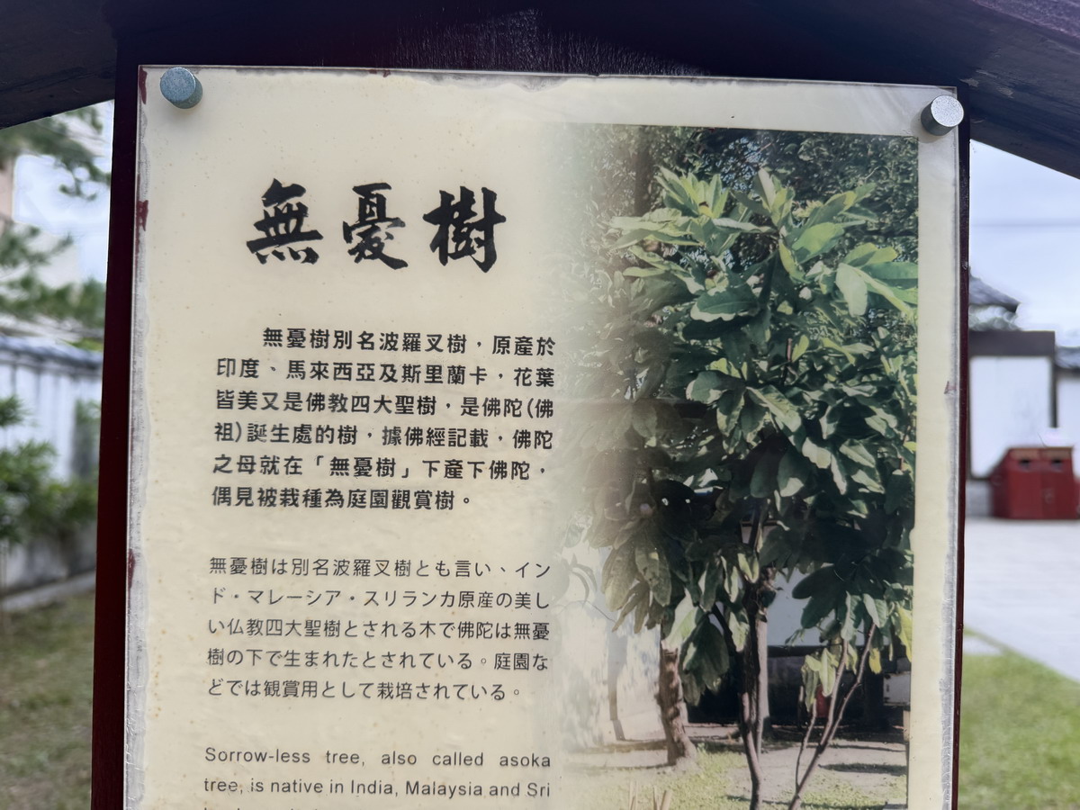 【花蓮吉安鄉旅遊】慶修院 2026:一秒到日本,100%純正日本血統百年寺院古蹟,弘法大師空海和尚與迷你四國遍路,花蓮必遊 (縣定古蹟) 7278 【花蓮吉安鄉旅遊】慶修院 2026:一秒到日本,100%純正日本血統百年寺院古蹟,弘法大師空海和尚與迷你四國遍路,花蓮必遊 (縣定古蹟) 7278