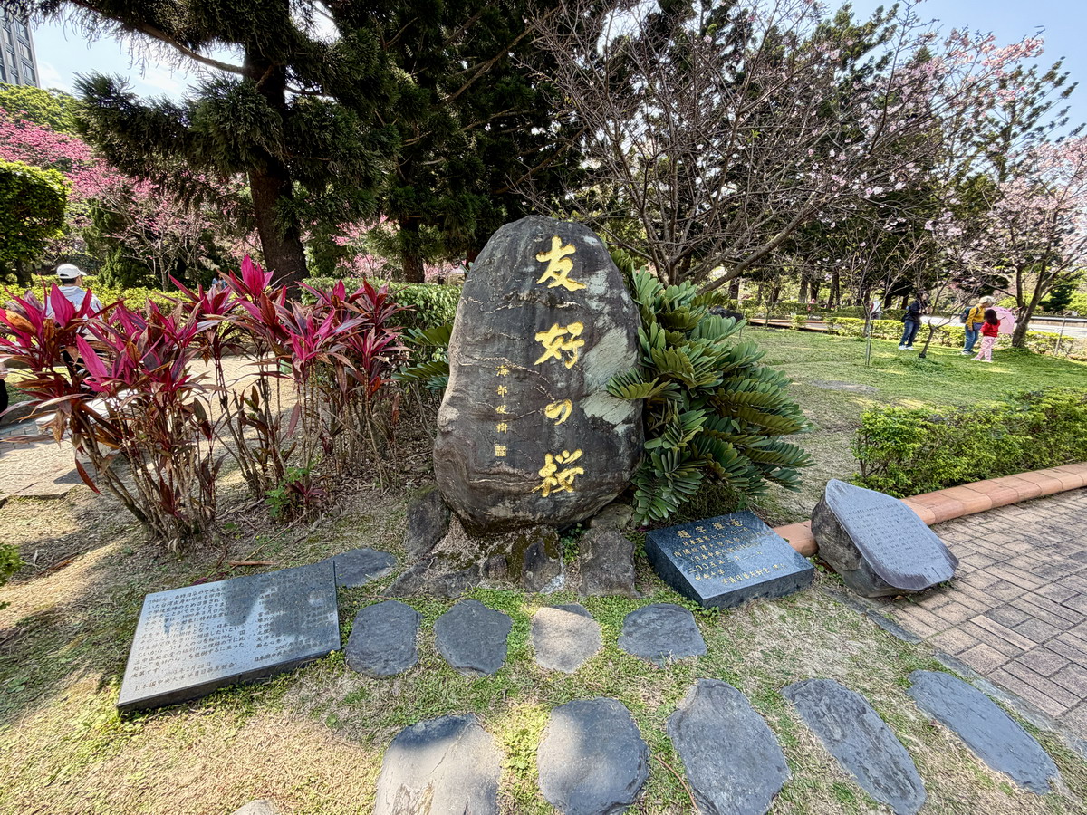 【台北市旅遊】中正紀念堂與櫻花 National Chiang Kai-shek Memorial Hall 2026，台北市觀光與櫻花景點，還有衛兵交接表演 7283