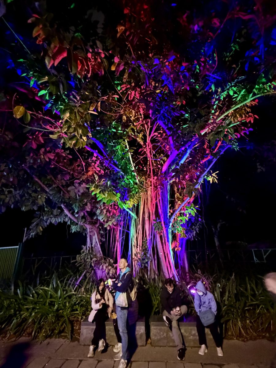 【活動】2026台北燈節花博展區:變形金剛擎天柱柯博文降臨台北 7298 【活動】2026台北燈節花博展區:變形金剛擎天柱柯博文降臨台北 7298