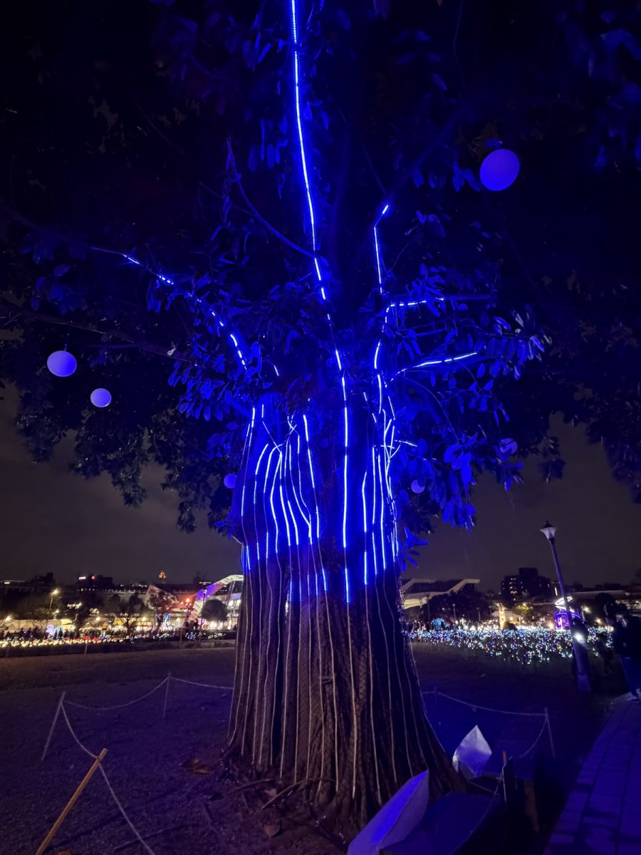 【活動】2026台北燈節花博展區：變形金剛擎天柱柯博文降臨台北 7298