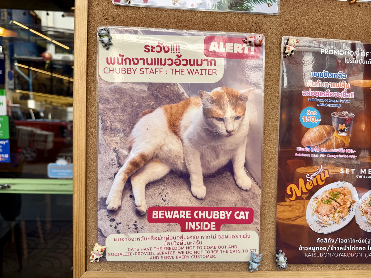 【泰國曼谷旅遊】嵩越路 Song Wat Road 2026:曼谷最新爆紅熱門散步街,唐人區古今融合帶來滿滿鬆馳感,老建築、美食、咖啡、文青小店、巷弄彩繪,一條街可以逛一整天,打卡美照拍不完 7302 【泰國曼谷旅遊】嵩越路 Song Wat Road 2026:曼谷最新爆紅熱門散步街,唐人區古今融合帶來滿滿鬆馳感,老建築、美食、咖啡、文青小店、巷弄彩繪,一條街可以逛一整天,打卡美照拍不完 7302