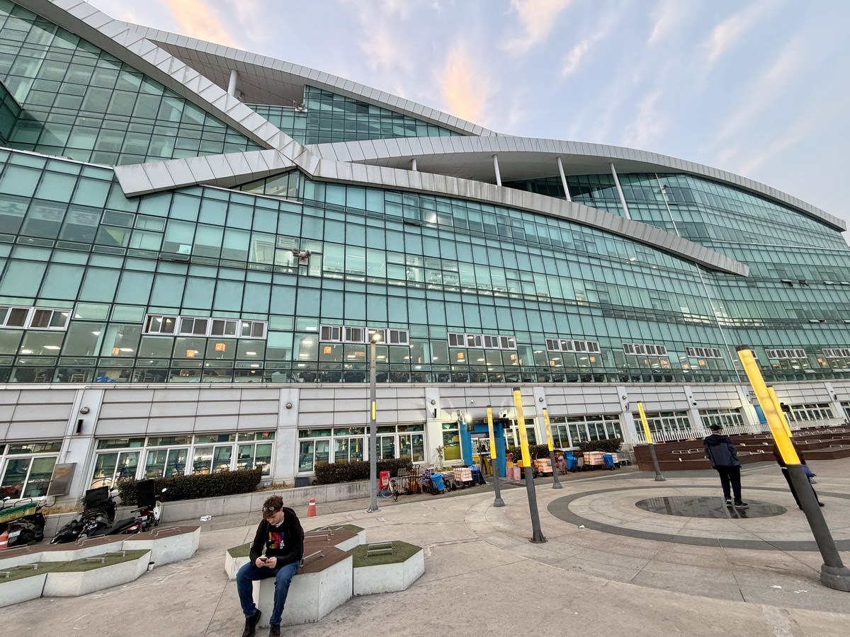 【韓國釜山旅遊】釜山札嘎其海鮮市場 Jalgachi Market 2026：釜山海洋生物博物館（誤），免費參觀，沉浸式體驗，看得到也吃得到，還有免費觀景台 7345
