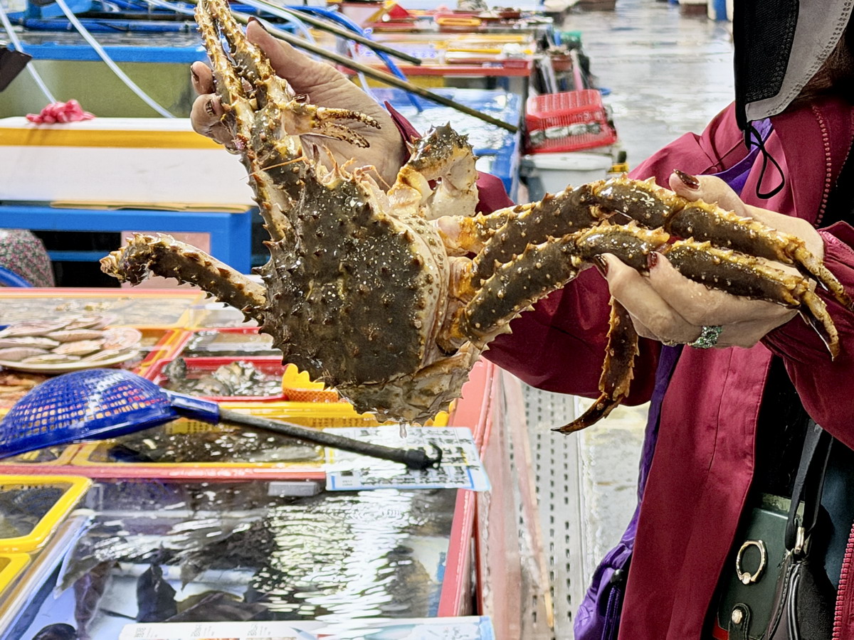 【韓國釜山旅遊】釜山札嘎其海鮮市場 Jalgachi Market 2026：釜山海洋生物博物館（誤），免費參觀，沉浸式體驗，看得到也吃得到，還有免費觀景台 7345