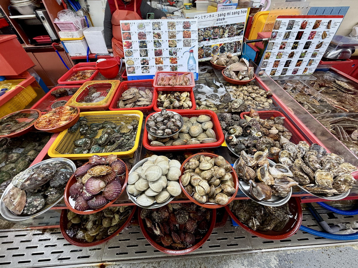 【韓國釜山旅遊】釜山札嘎其海鮮市場 Jalgachi Market 2026：釜山海洋生物博物館（誤），免費參觀，沉浸式體驗，看得到也吃得到，還有免費觀景台 7345