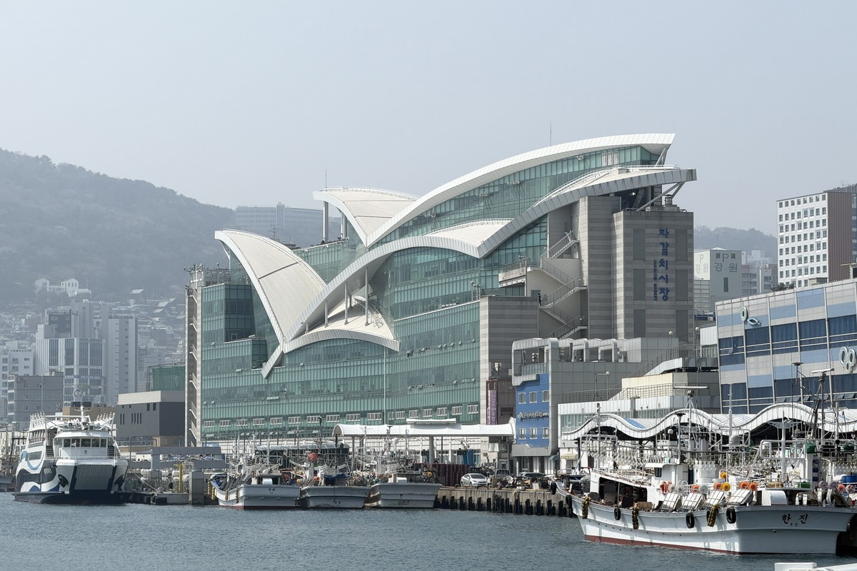 網站近期文章：【韓國釜山旅遊】釜山札嘎其市場 Jalgachi Market 2026：釜山海洋生物博物館（誤），免費參觀，沉浸式體驗，看得到也吃得到，還有免費觀景台 7345