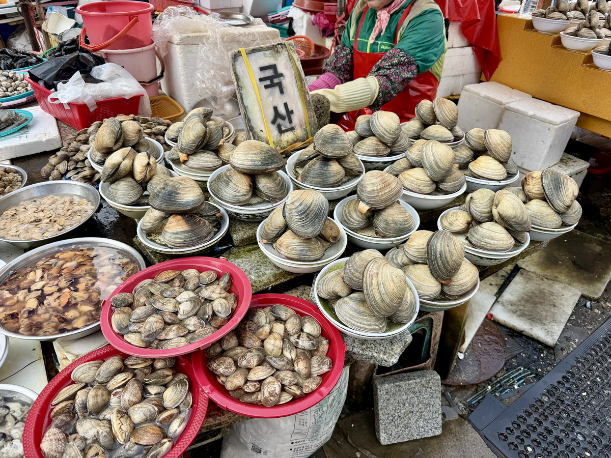 【韓國釜山旅遊】釜山札嘎其海鮮市場 Jalgachi Market 2026：釜山海洋生物博物館（誤），免費參觀，沉浸式體驗，看得到也吃得到，還有免費觀景台 7345