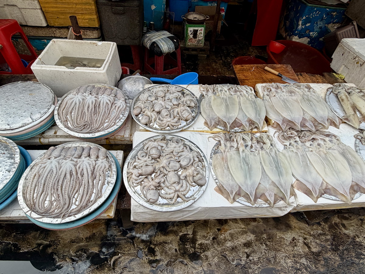 【韓國釜山旅遊】釜山札嘎其海鮮市場 Jalgachi Market 2026：釜山海洋生物博物館（誤），免費參觀，沉浸式體驗，看得到也吃得到，還有免費觀景台 7345