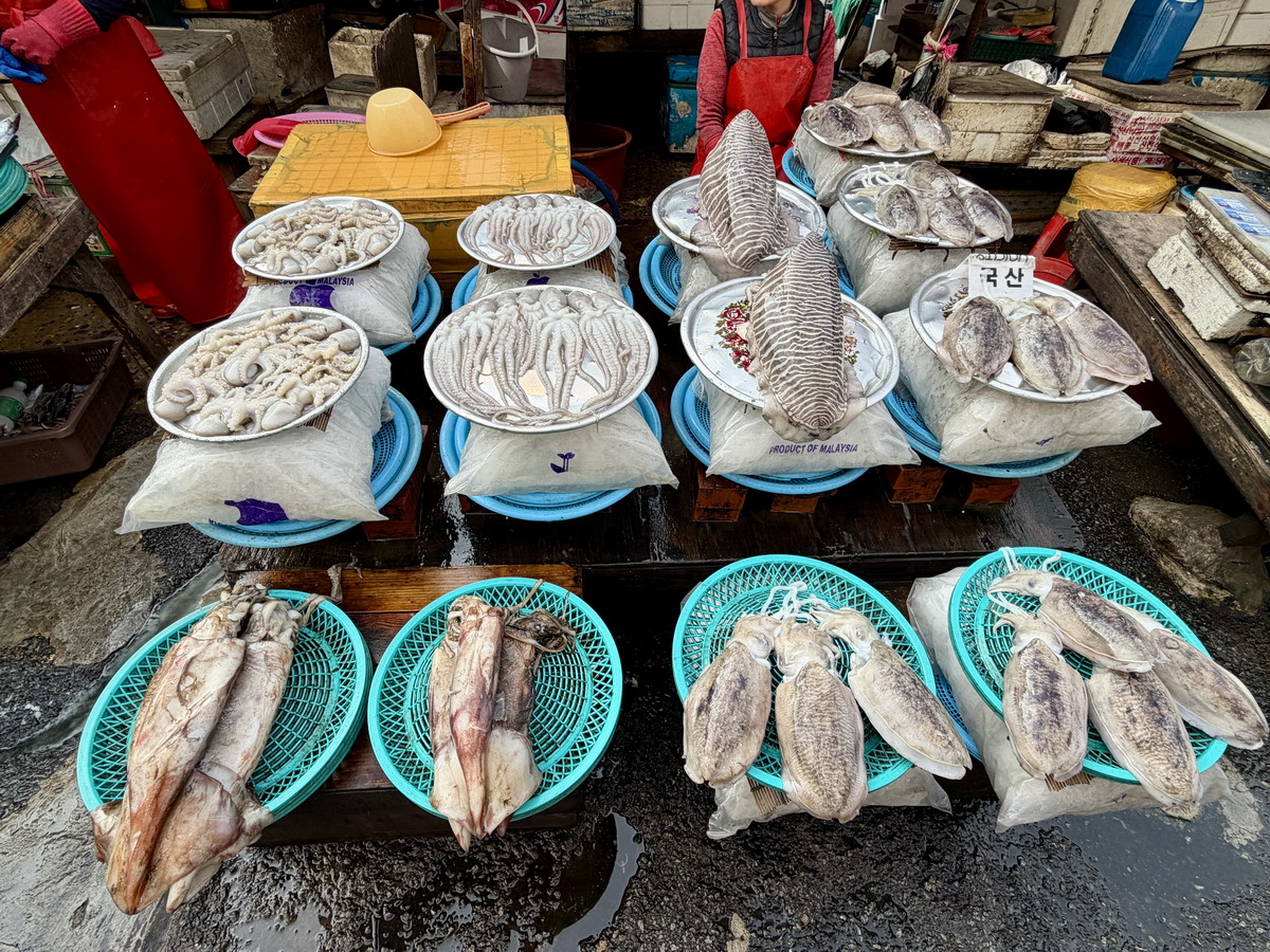 【韓國釜山旅遊】釜山札嘎其海鮮市場 Jalgachi Market 2026：釜山海洋生物博物館（誤），免費參觀，沉浸式體驗，看得到也吃得到，還有免費觀景台 7345