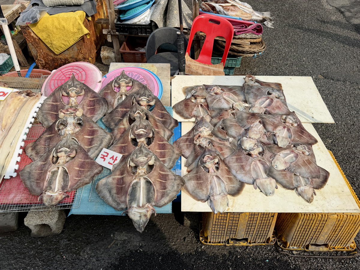 【韓國釜山旅遊】釜山札嘎其海鮮市場 Jalgachi Market 2026：釜山海洋生物博物館（誤），免費參觀，沉浸式體驗，看得到也吃得到，還有免費觀景台 7345