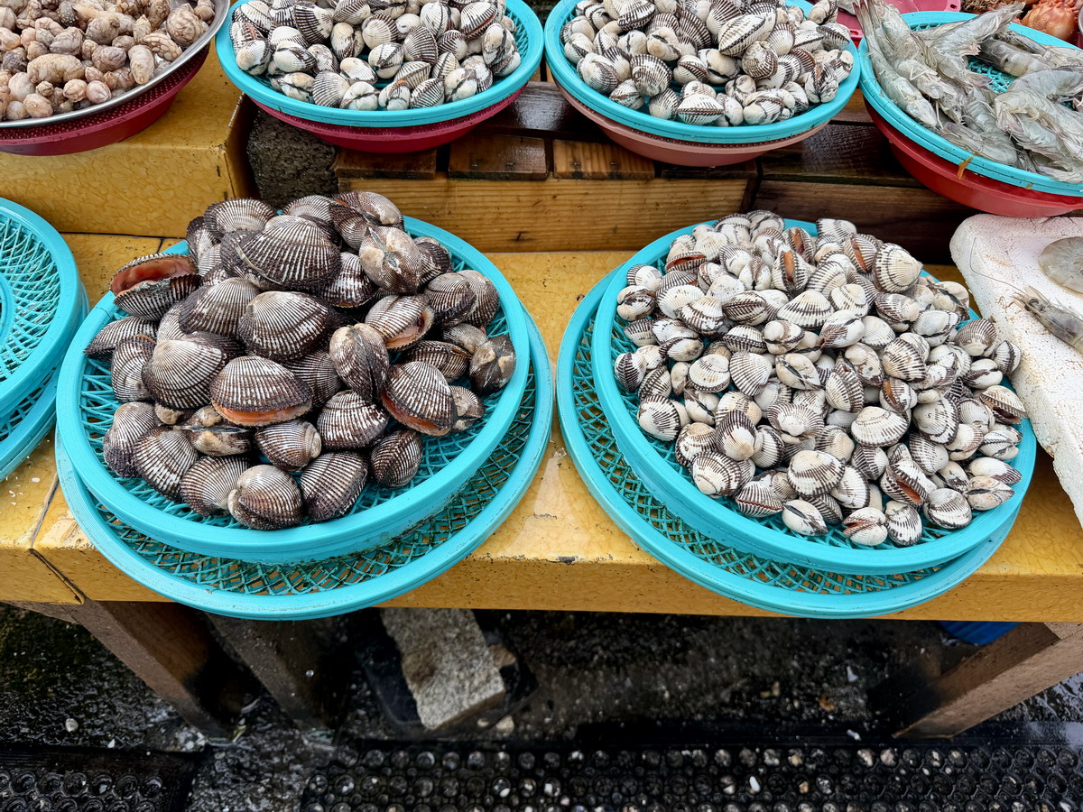 【韓國釜山旅遊】釜山札嘎其海鮮市場 Jalgachi Market 2026：釜山海洋生物博物館（誤），免費參觀，沉浸式體驗，看得到也吃得到，還有免費觀景台 7345