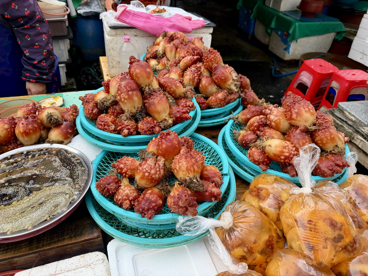 【韓國釜山旅遊】釜山札嘎其海鮮市場 Jalgachi Market 2026：釜山海洋生物博物館（誤），免費參觀，沉浸式體驗，看得到也吃得到，還有免費觀景台 7345