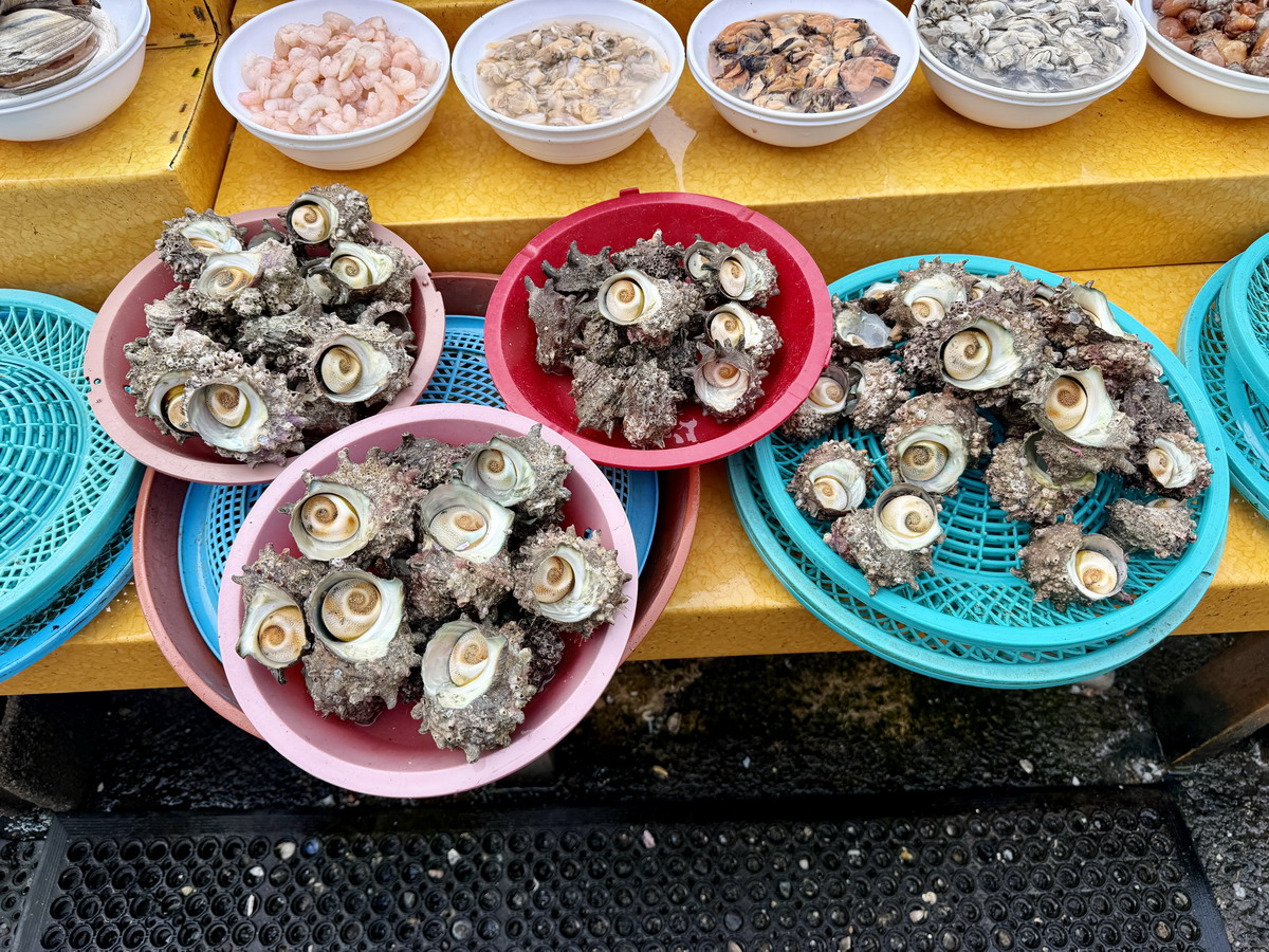 【韓國釜山旅遊】釜山札嘎其海鮮市場 Jalgachi Market 2026：釜山海洋生物博物館（誤），免費參觀，沉浸式體驗，看得到也吃得到，還有免費觀景台 7345