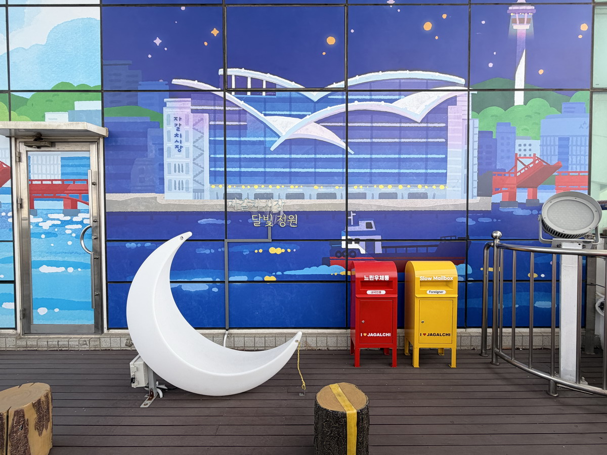 【韓國釜山旅遊】釜山札嘎其海鮮市場 Jalgachi Market 2026：釜山海洋生物博物館（誤），免費參觀，沉浸式體驗，看得到也吃得到，還有免費觀景台 7345