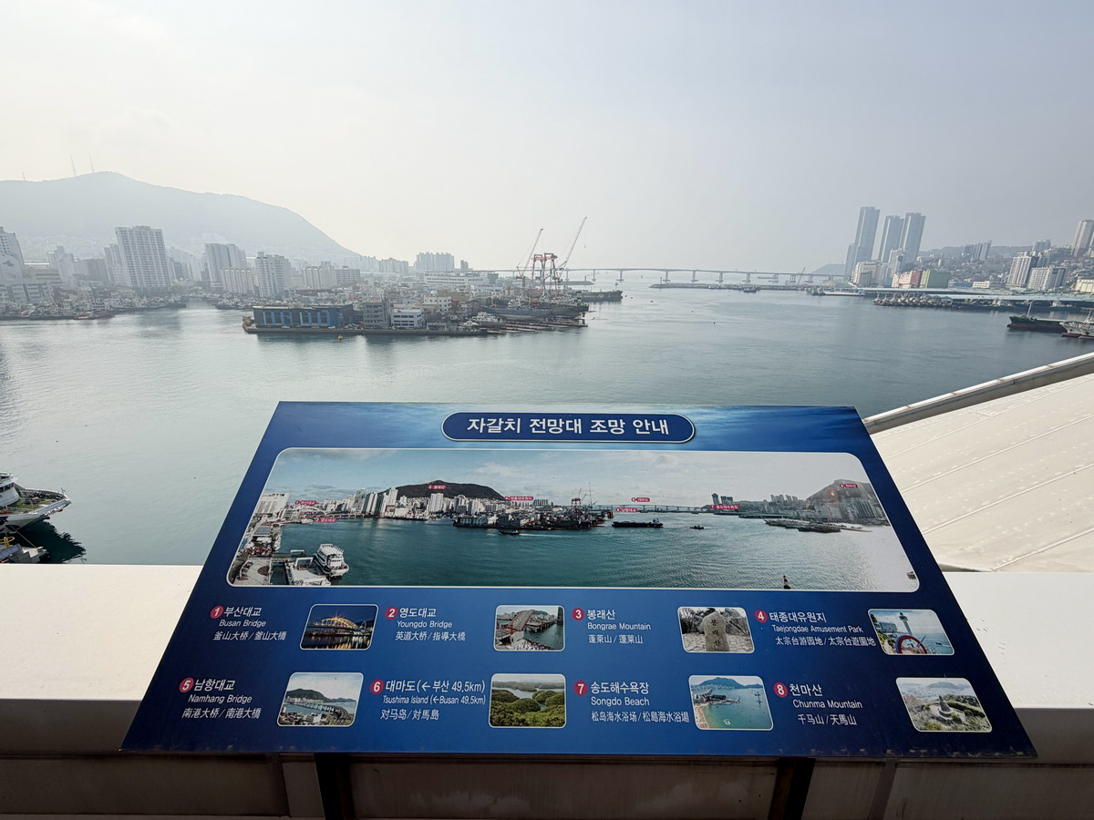 【韓國釜山旅遊】釜山札嘎其海鮮市場 Jalgachi Market 2026：釜山海洋生物博物館（誤），免費參觀，沉浸式體驗，看得到也吃得到，還有免費觀景台 7345