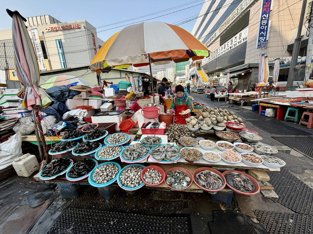 【韓國釜山旅遊】釜山札嘎其海鮮市場 Jalgachi Market 2026：釜山海洋生物博物館（誤），免費參觀，沉浸式體驗，看得到也吃得到，還有免費觀景台 7345