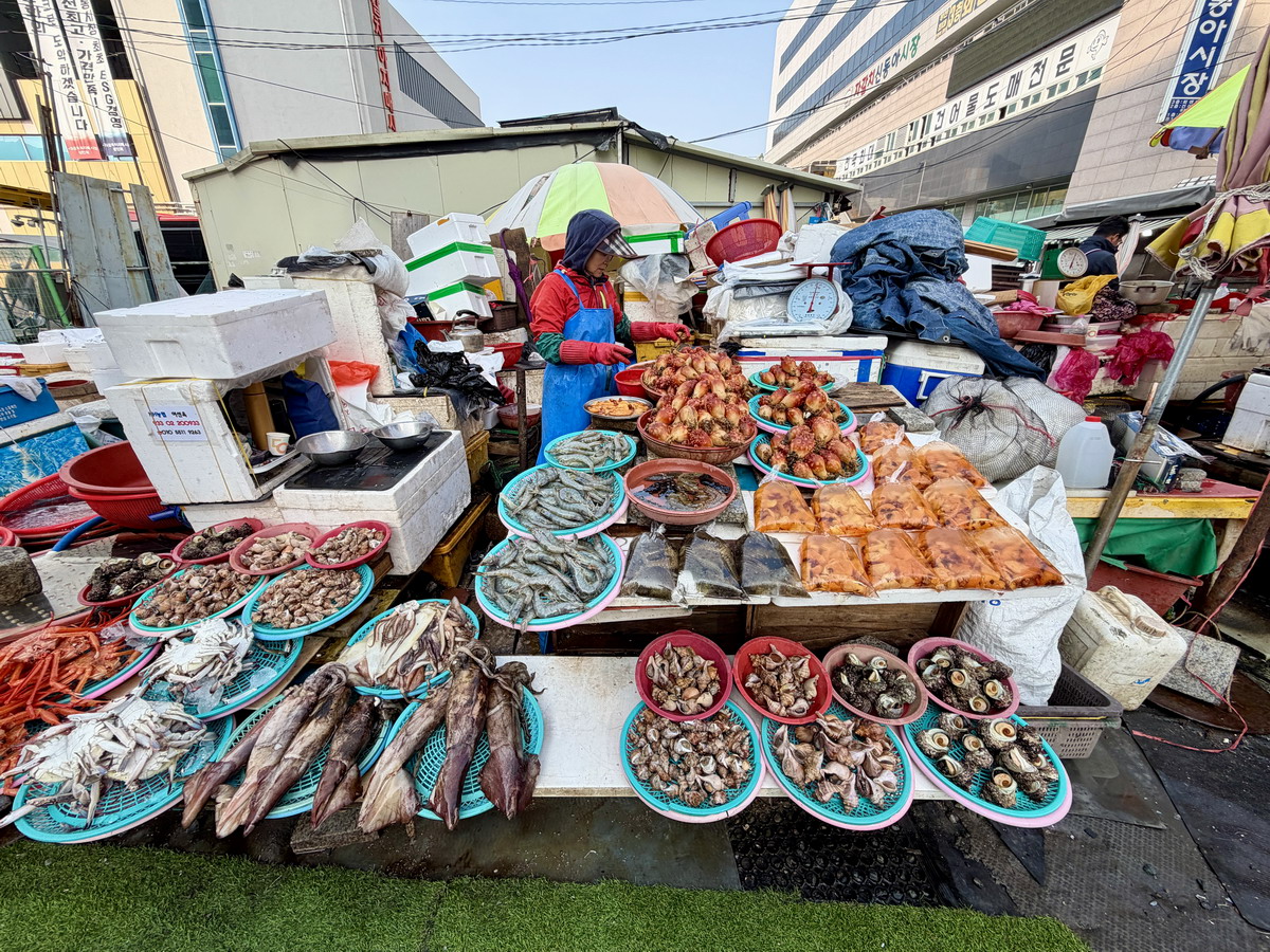 【韓國釜山旅遊】釜山札嘎其海鮮市場 Jalgachi Market 2026：釜山海洋生物博物館（誤），免費參觀，沉浸式體驗，看得到也吃得到，還有免費觀景台 7345