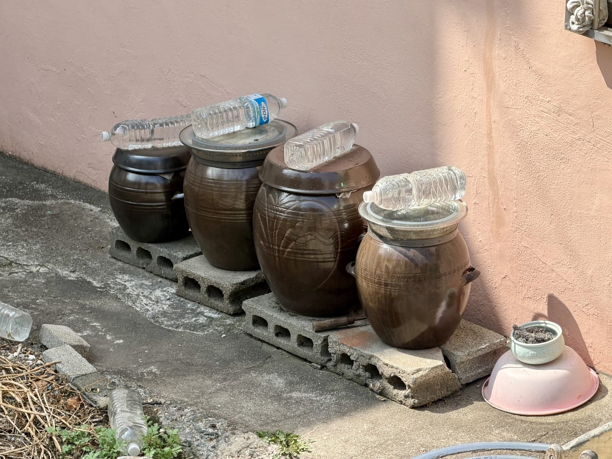 【韓國釜山旅遊】甘川洞文化村 2026：在彩色屋山城與小王子相遇！難民聚落成功轉型觀光勝地，童話世界美照拍不完，釜山必遊熱門景點 7348