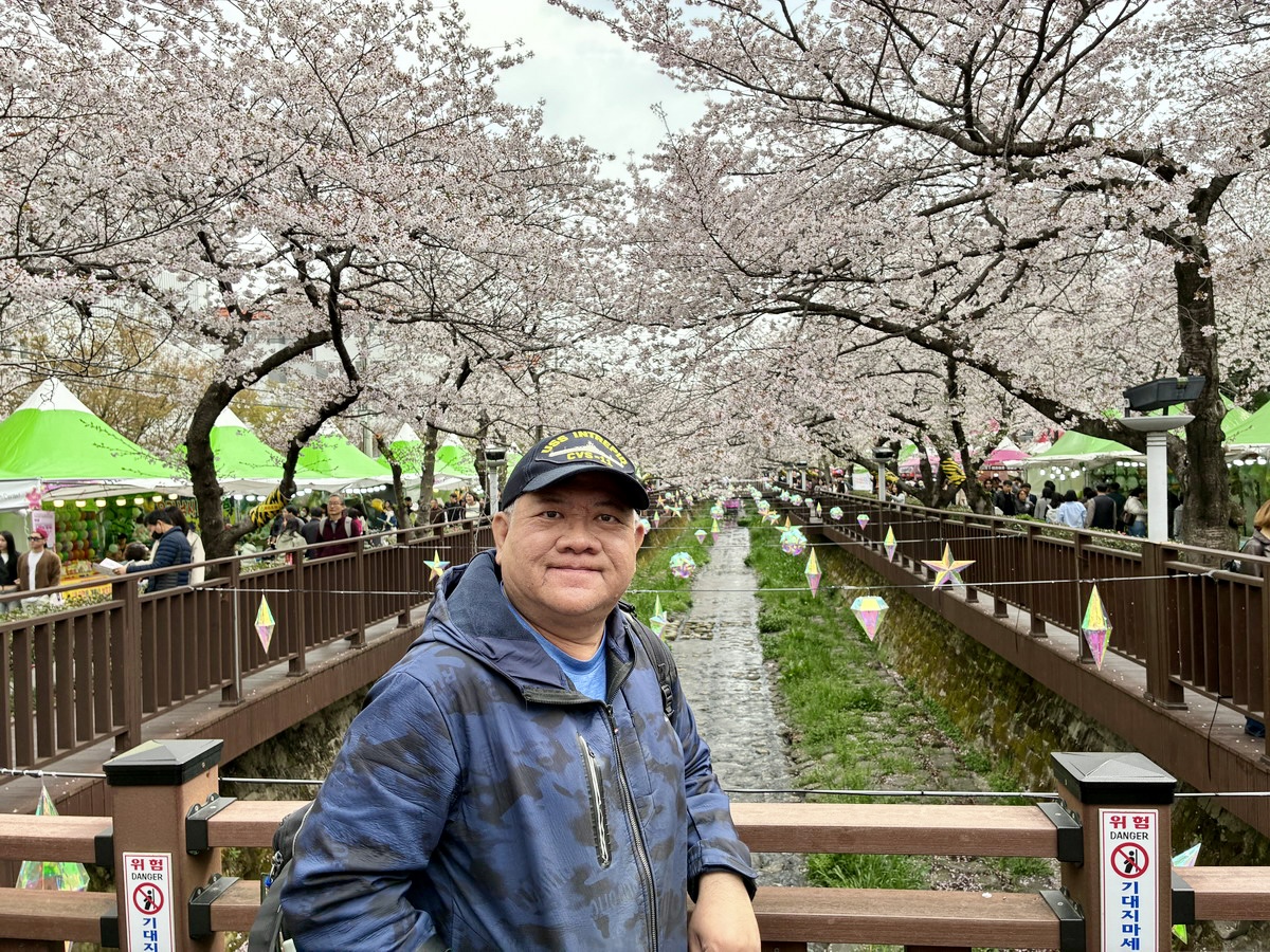 【韓國釜山旅遊】鎮海余佐川櫻花步道 2026：鎮海賞櫻第一景點，全長1.5公里櫻花隧道美不勝收，滿滿櫻花看到飽 7355