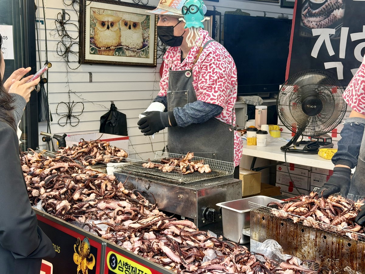 【韓國釜山旅遊】鎮海余佐川櫻花步道 2026：鎮海賞櫻第一景點，全長1.5公里櫻花隧道美不勝收，滿滿櫻花看到飽 7355
