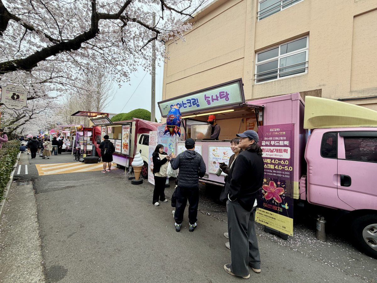 【韓國釜山旅遊】鎮海余佐川櫻花步道 2026：鎮海賞櫻第一景點，全長1.5公里櫻花隧道美不勝收，滿滿櫻花看到飽 7355