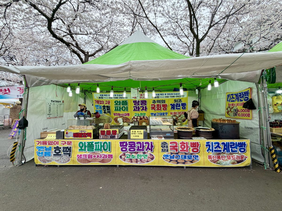 【韓國釜山旅遊】鎮海余佐川櫻花步道 2026：鎮海賞櫻第一景點，全長1.5公里櫻花隧道美不勝收，滿滿櫻花看到飽 7355