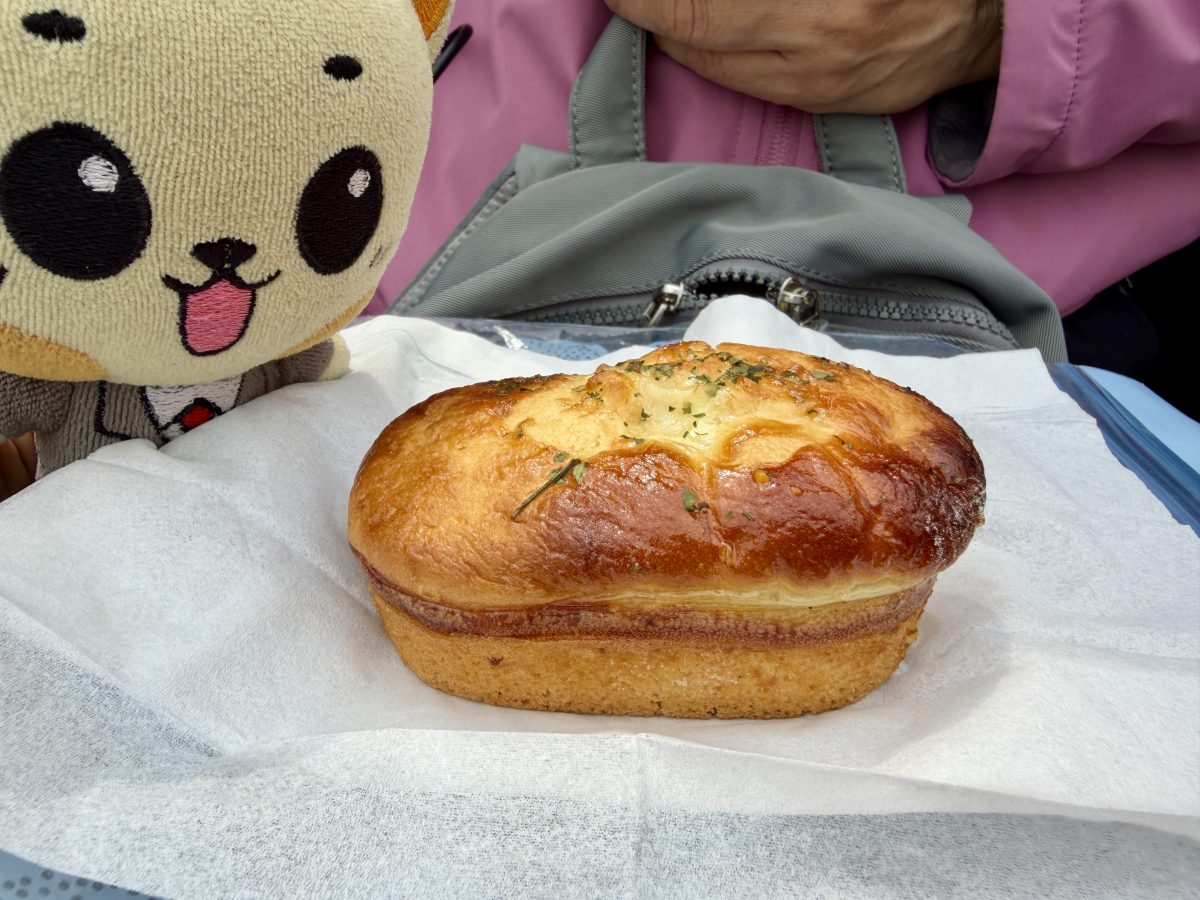 【韓國釜山旅遊】鎮海余佐川櫻花步道 2026：鎮海賞櫻第一景點，全長1.5公里櫻花隧道美不勝收，滿滿櫻花看到飽 7355