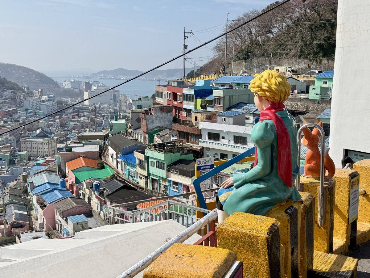 【韓國釜山旅遊】釜山、鎮海、慶州櫻花看到飽之旅 2026：滿滿的櫻花、物價便宜、好逛好買好吃，還不會人擠人，超適合小資的櫻花旅行 7371